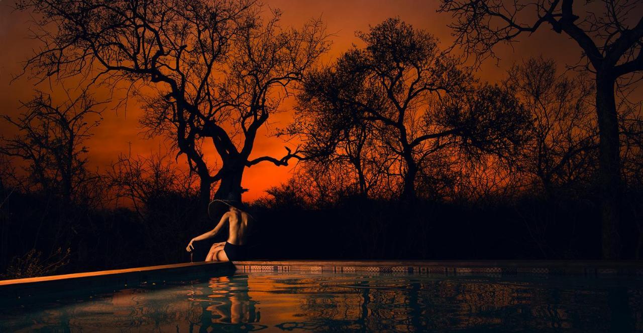 Safari Moon Luxury Bush Lodge Hoedspruit Dış mekan fotoğraf