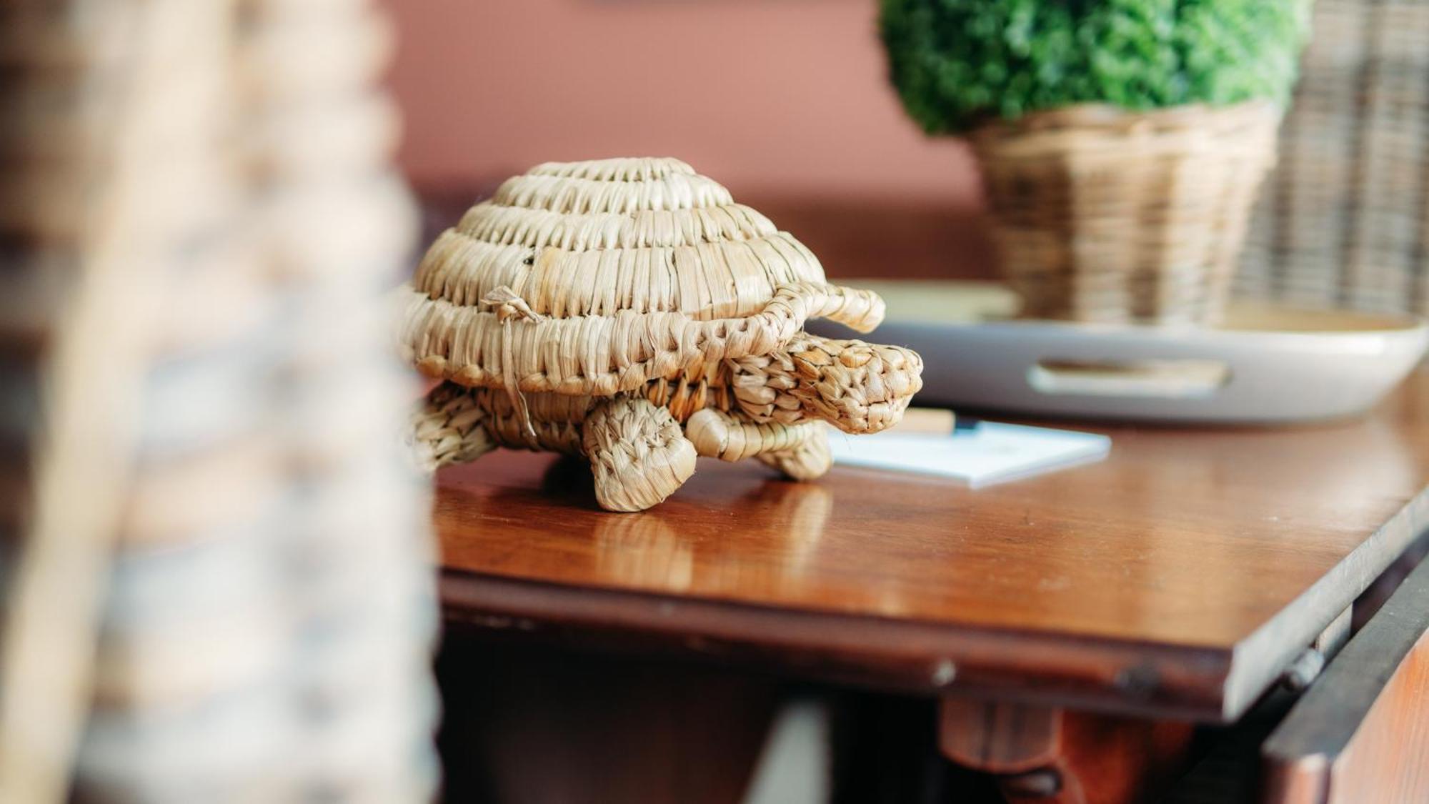 Safari Moon Luxury Bush Lodge Hoedspruit Dış mekan fotoğraf